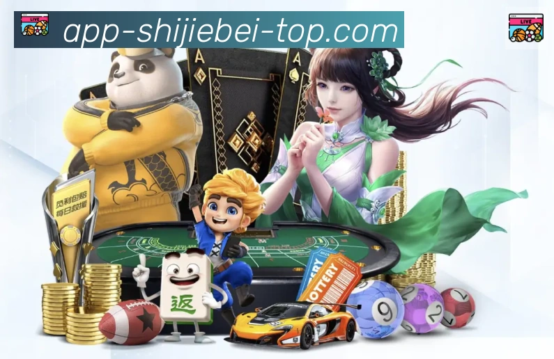 未来规划